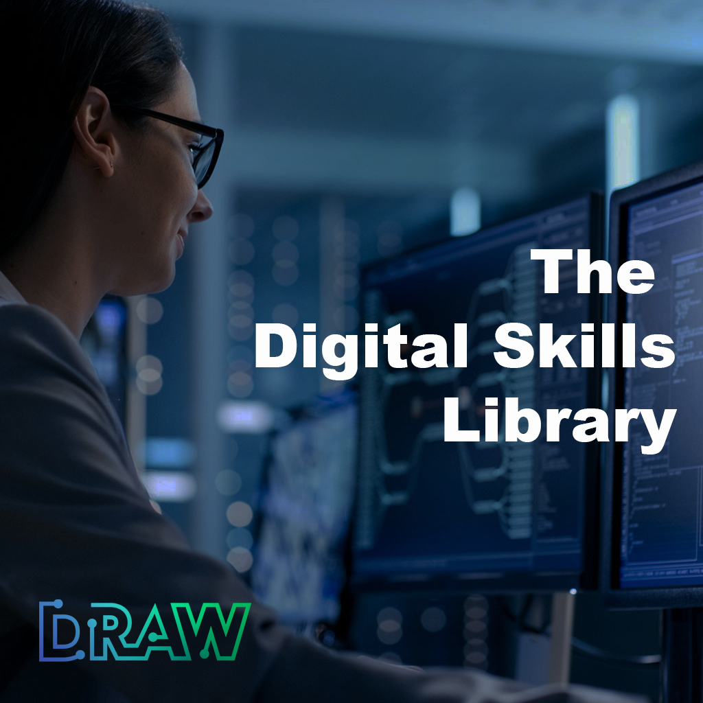 digital skills library, women on computer